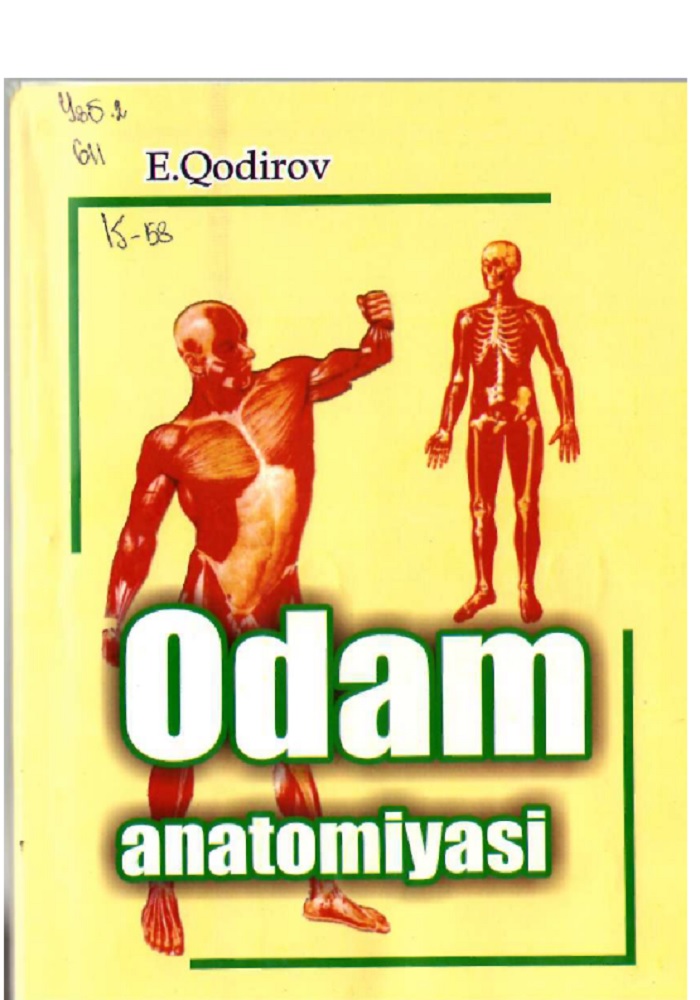 11odamanatomiyasidarslik2007.jpeg