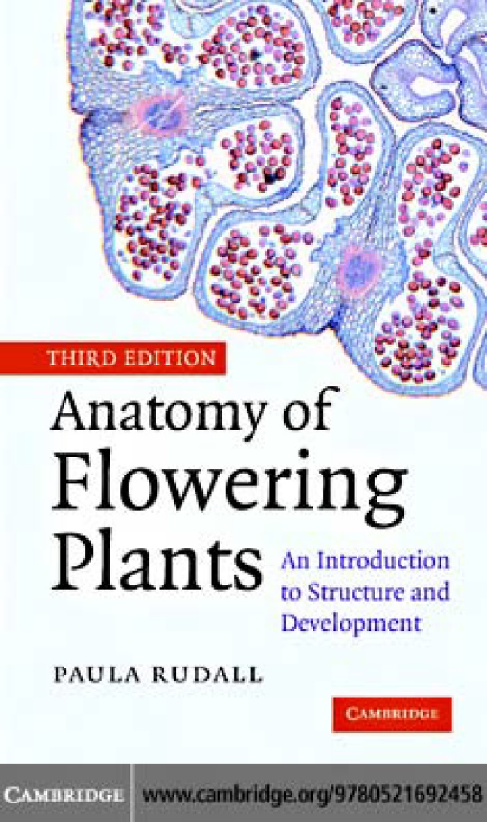 12anatomyoffloweringplants.jpeg