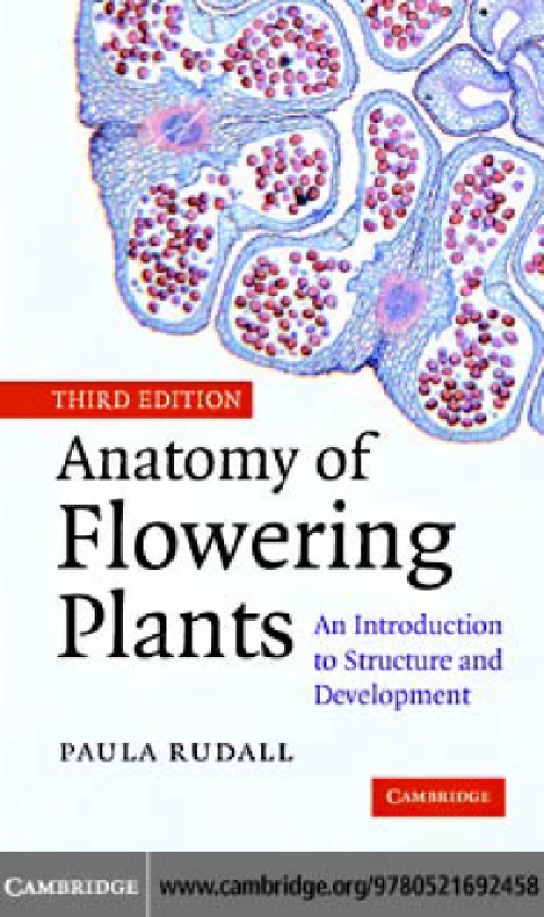 anatomyoffloweringplantspaulajrudall2007.jpeg