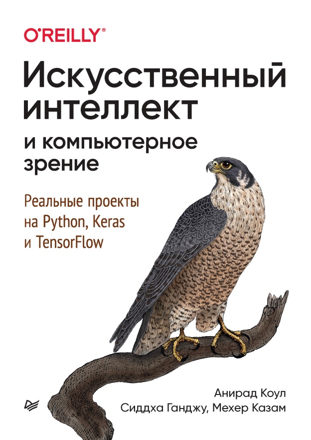 05iskusstvennyyintellektikompyuternoyezreniyerealnyyeproyektyna.jpeg