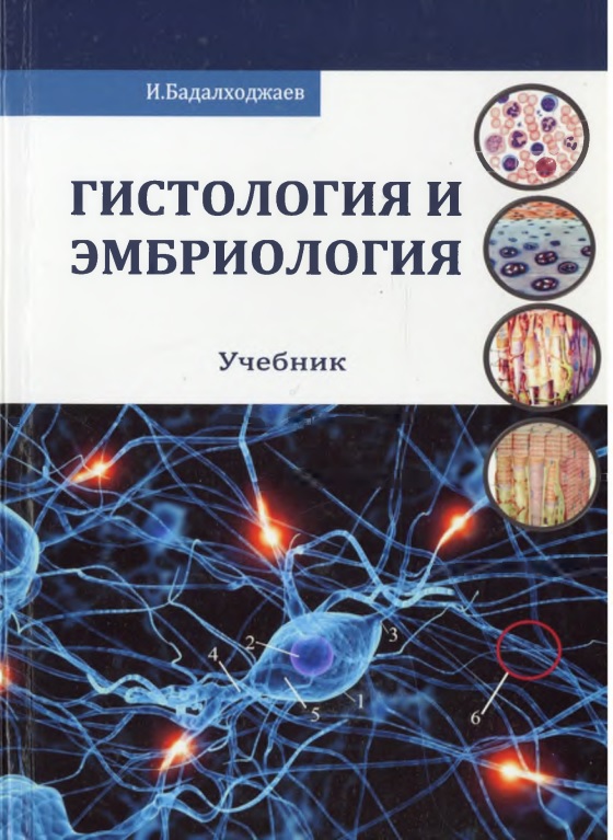 19gistologiyaiembirologiya.jpeg