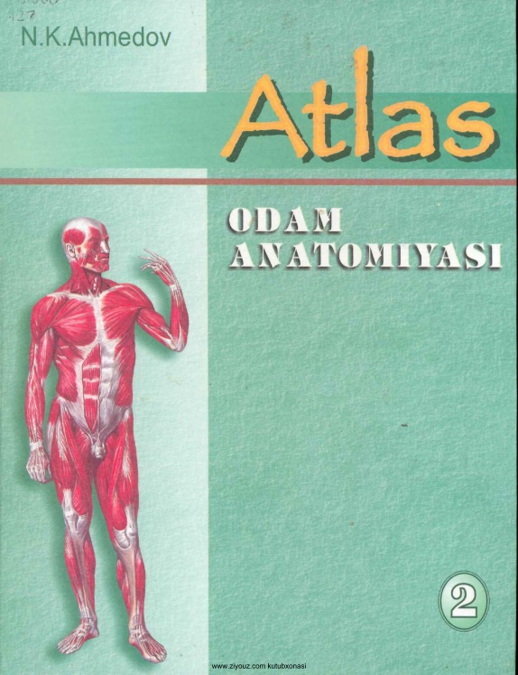 222nkaxmedovatlasodamanatomiyasidarslik20052tom.jpeg