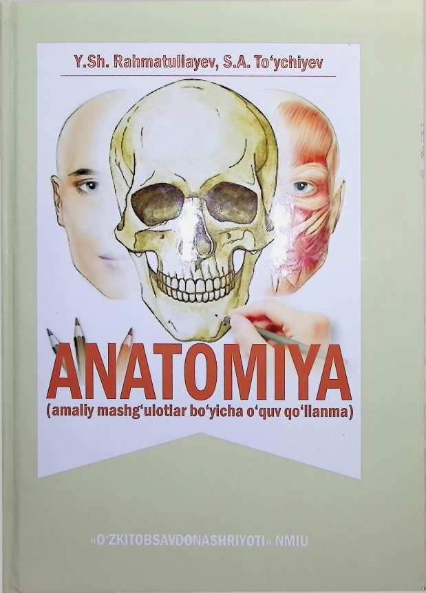 anatomiya.png