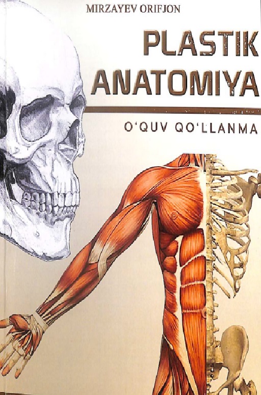 plastikanatomiya.jpeg